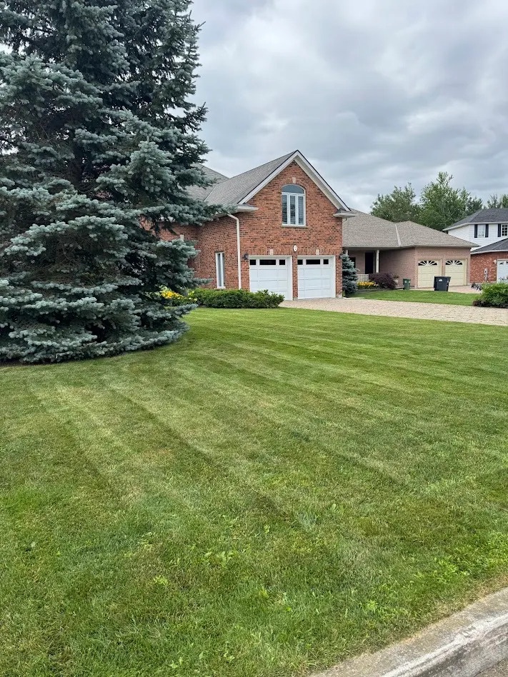 Lawn care and landscaping services in Guelph Ontario by A Cut Above Yard Services