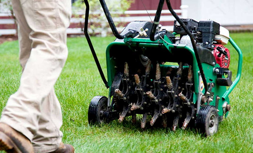Aeration & Overseeding in Guelph Ontario — A Cut Above Yard Services