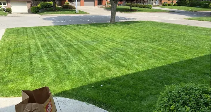 Fertilizing & Overseeding in Guelph Ontario — A Cut Above Yard Services