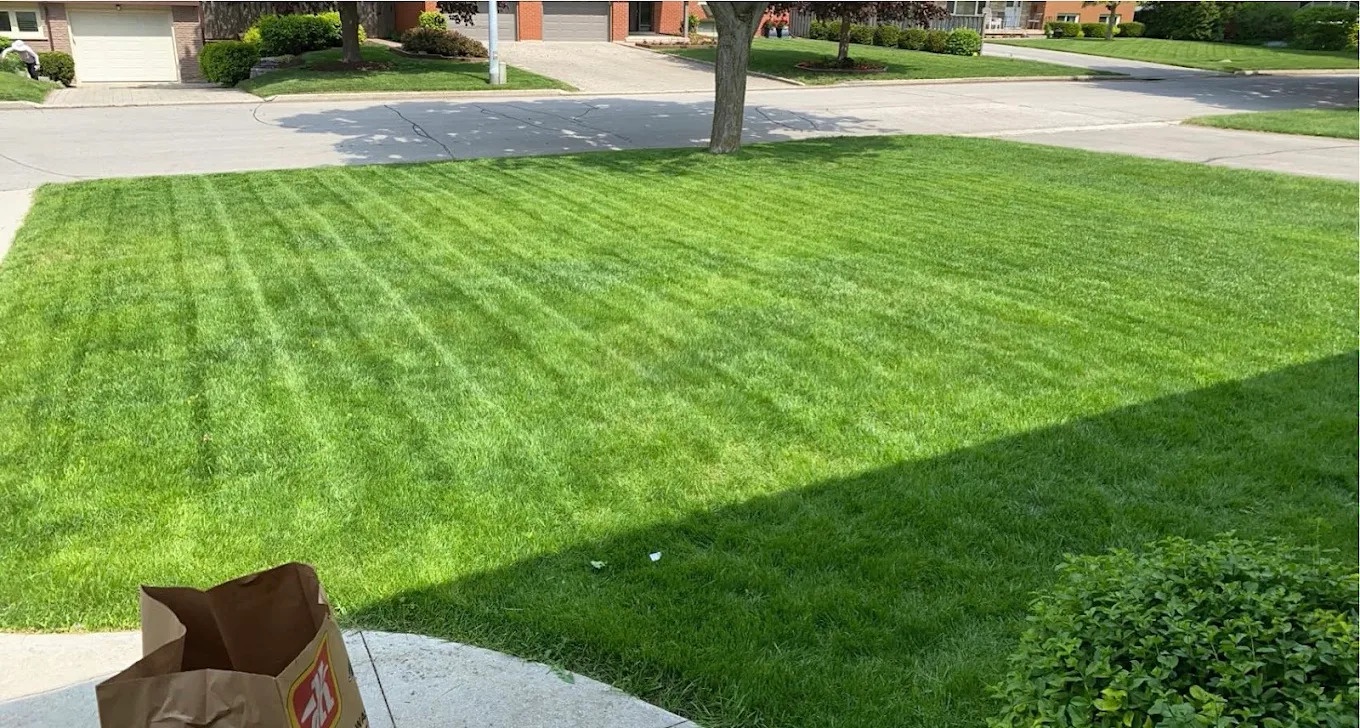 Lawn care and landscaping services in Guelph Ontario by A Cut Above Yard Services