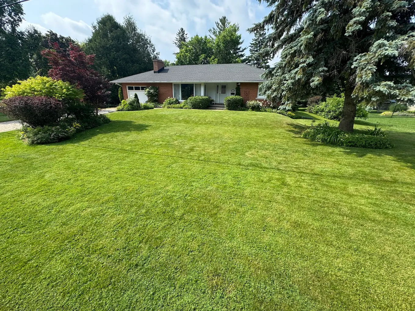 Lawn care and landscaping services in Guelph Ontario by A Cut Above Yard Services