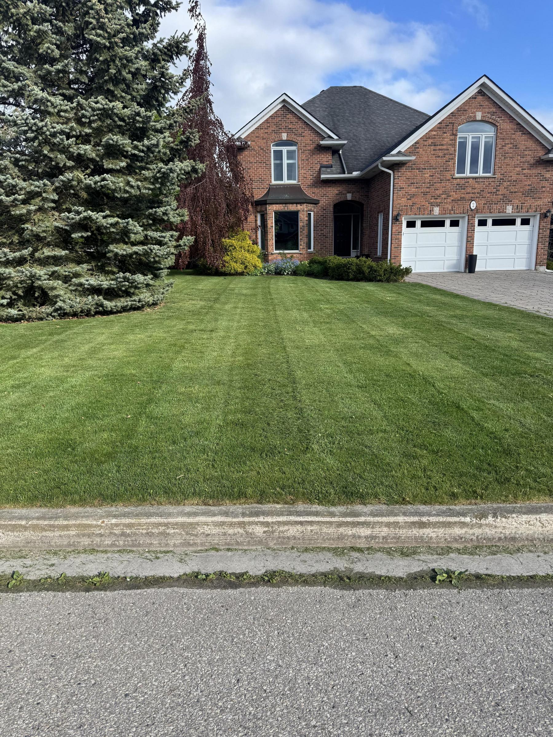 Lawn care and landscaping services in Guelph Ontario by A Cut Above Yard Services
