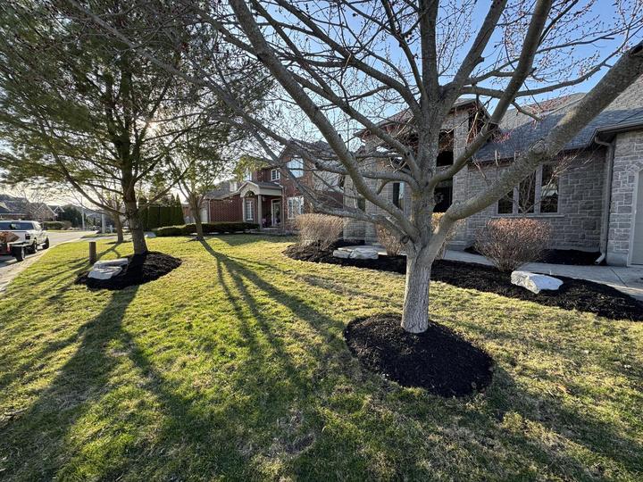Mulching in Guelph Ontario — A Cut Above Yard Services