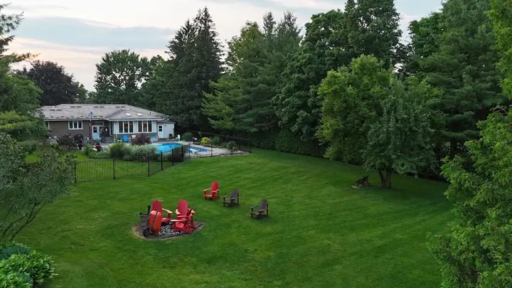 Weed Control in Guelph Ontario — A Cut Above Yard Services