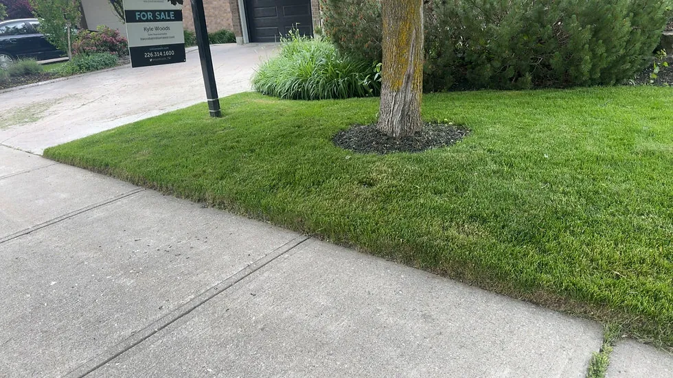Lawn care and landscaping services in Guelph Ontario by A Cut Above Yard Services